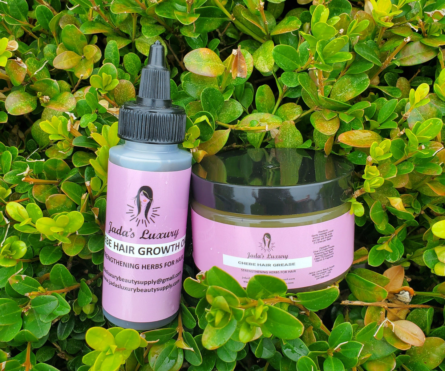 Chebe Powder Chebe Oil Hair Growth